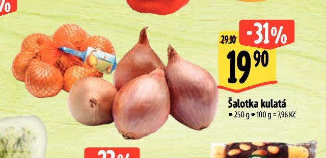 Šalotka kulatá