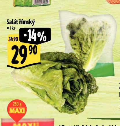 Salát římský