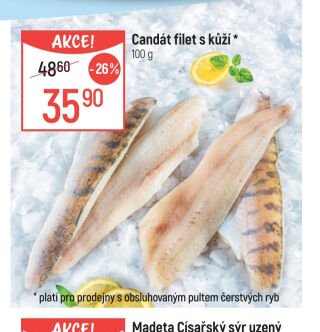 Candát filet s kůží