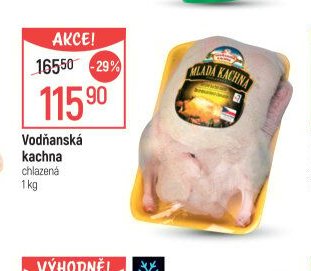 Vodňanská kachna