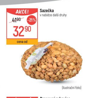 Sazečka