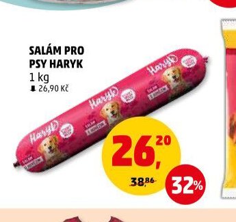SALÁM PRO PSY HARYK