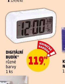 DIGITÁLNÍ BUDÍK