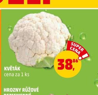 Květák