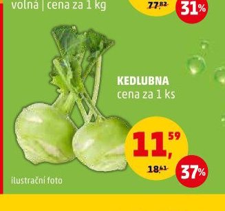Kedlubna