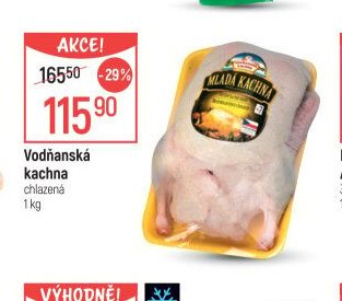 Vodňanská kachna