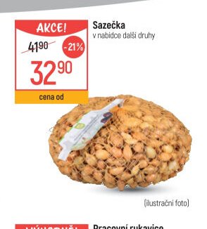 Sazečka