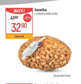 Sazečka