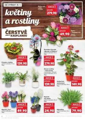 akční leták Kaufland 31.1.2024-6.2.2024