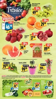 akční leták Albert 31.1.2024-6.2.2024