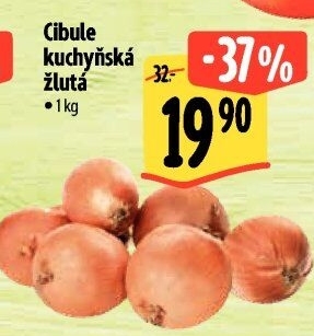 Cibule kuchyňská žlutá