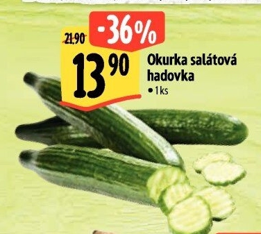 Okurka hadovka