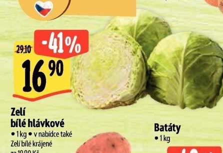 Zelí hlávkové bílé