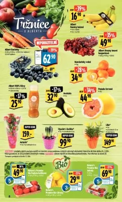 akční leták Albert 31.1.2024-6.2.2024