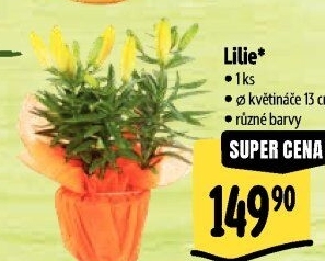 Lilie