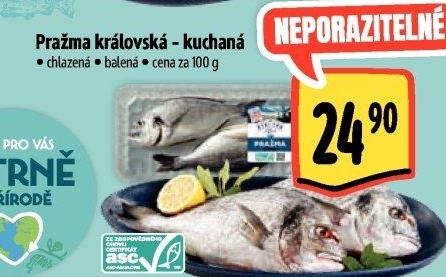 Pražma královská kuchaná Albert