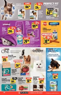 akční leták Albert 31.1.2024-13.2.2024