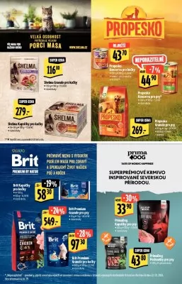 akční leták Albert 31.1.2024-13.2.2024