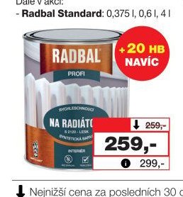 RADBAL Profi S2120