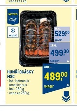 HUMŘI OCÁSKY MSC