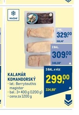 KALAMÁR KOMANDORSKÝ