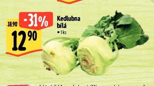 Kedlubna bílá