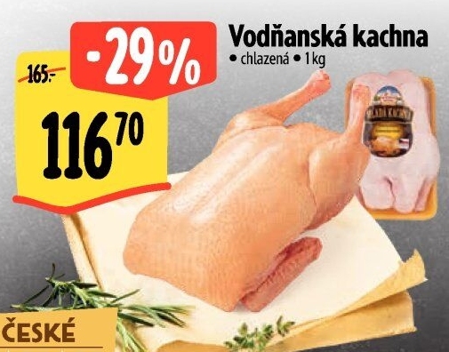 Kachna Vodňanská kachna