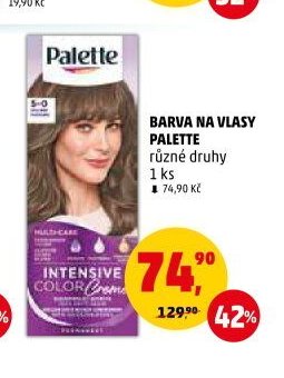 Barva na vlasy Palette