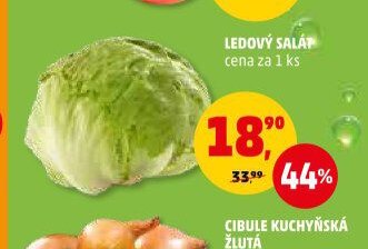 LEDOVÝ SALÁT