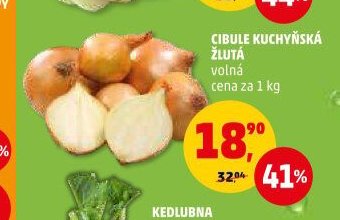 CIBULE KUCHYŇSKÁ