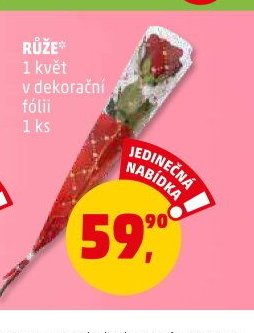 Růže 1 květ