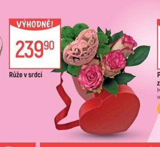 Růže v srdci