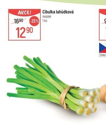 Cibulka lahůdková