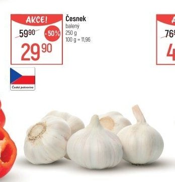 Česnek