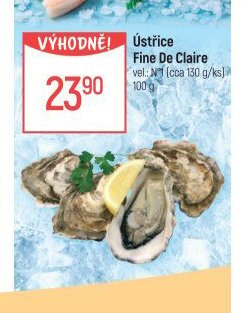 Ústřice Fine De Claire