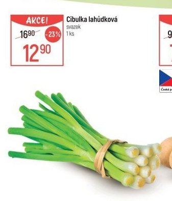 Cibulka lahůdková