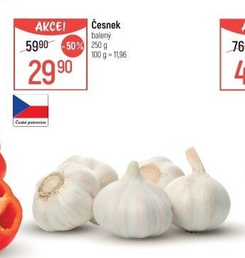 Česnek