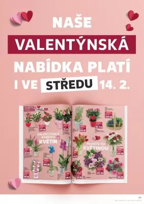 akční leták Kaufland 14.2.2024-20.2.2024