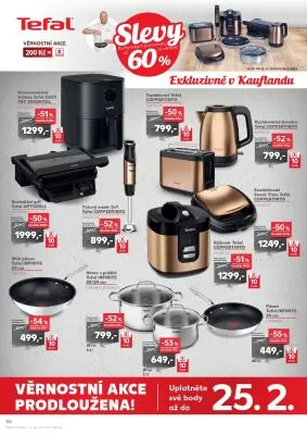akční leták Kaufland 14.2.2024-20.2.2024