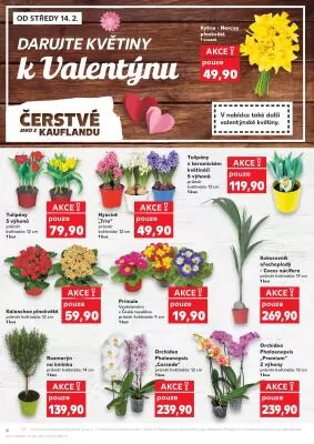 akční leták Kaufland 14.2.2024-20.2.2024