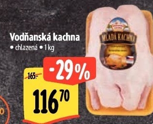 Kachna Vodňanská kachna