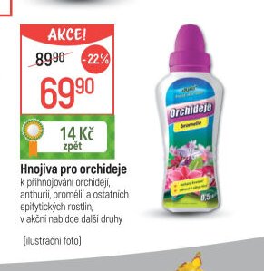 Hnojiva pro orchideje