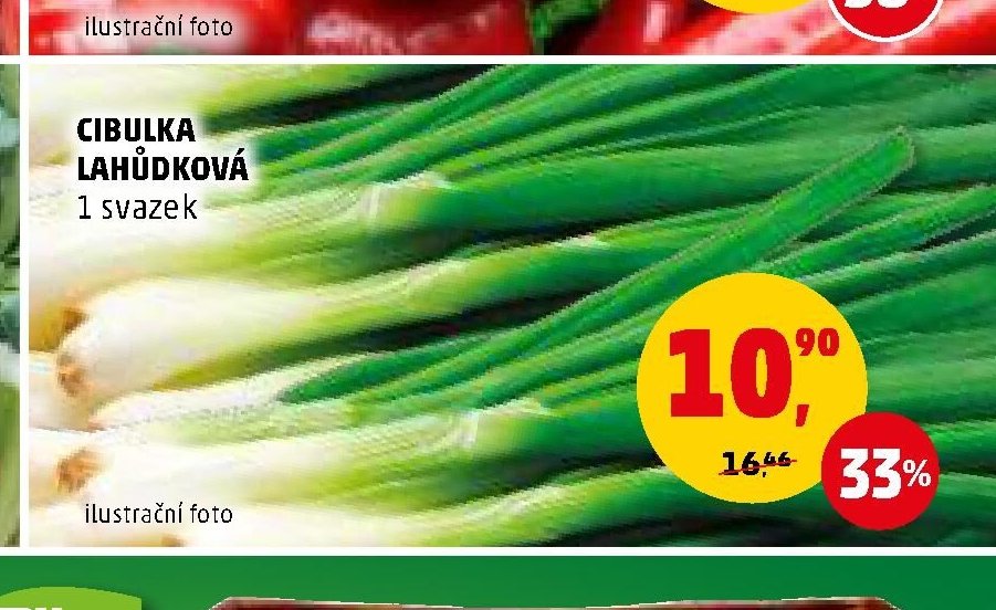 CIBULKA LAHŮDKOVÁ 1 svazek