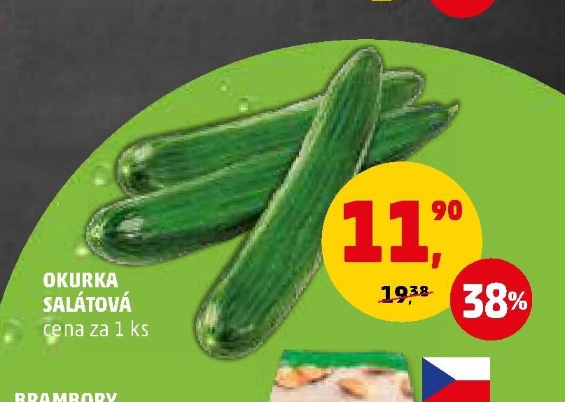 OKURKA SALÁTOVÁ