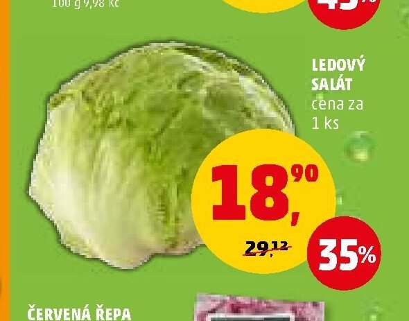 Ledový salát