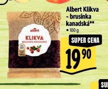 Albert Klikva - brusinka kanadská