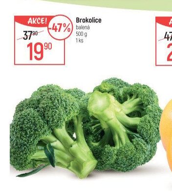 Brokolice
