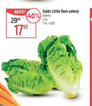 Salát Little Gem zelený