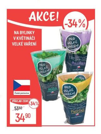 Na bylinky v květináči Velké vaření