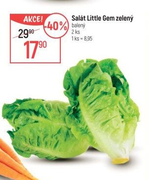 Salát Little Gem zelený